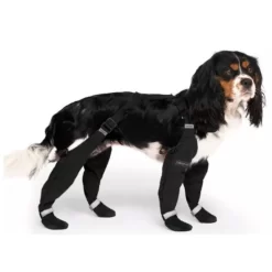 Canada Pooch Suspender Dog Boots For Winter -Pet Supplies Shop Creation sans titre 76