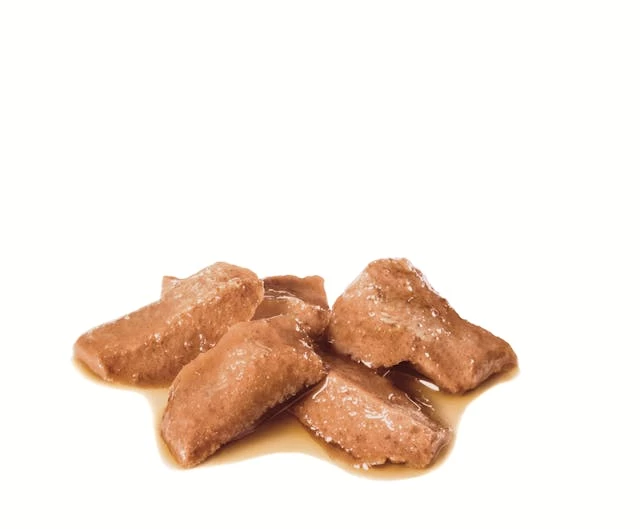 Maine Coon Canned Food, Thin Slices In Gravy, Royal Canin, 85g 2 Maine Coon Canned Food, Thin Slices In Gravy, Royal Canin, 85g - Image 2