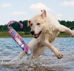 Floating Training Buoy, Kong Wild Shieldz For Dogs -Pet Supplies Shop KONG Wild Shieldz Baton dEntrainement Tourbillon de couleur jouet eau 1