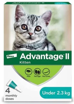 Advantage II Anti Fleas For Kittens Under 2.3 Kg, 4 Doses