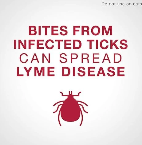 K9 Advantix II Protects Fleas, Ticks And Mosquitos For Dog From 4.6 To 11 Kg, 4 Pack - Image 5