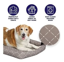 Quiet Time Couture Pet Bed, Ashton, MidWest Taupe -Pet Supplies Shop ashton bed 9f2