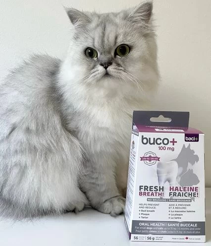 Buco+ Dental Care For Small Dogs And Cats, Baci+ 4 Buco+ Dental Care For Small Dogs And Cats, Baci+ - Image 4