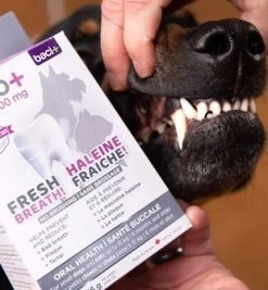 Buco+ Dental Care For Small Dogs And Cats, Baci+ 10 Buco+ Dental Care For Small Dogs And Cats, Baci+ -Pet Supplies Shop baco2 534