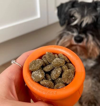 Buco+ Dental Care For Small Dogs And Cats, Baci+ 6 Buco+ Dental Care For Small Dogs And Cats, Baci+ - Image 6