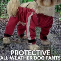 Gray Bodyguard Dog Pants, Foufoudog -Pet Supplies Shop bodyguard foufoudog 2 e7d