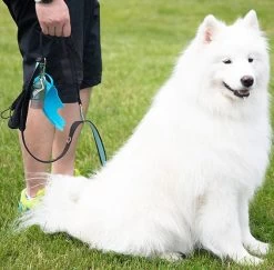 HydroSmart Flex Dispenser, BRB Pets 22 HydroSmart Flex Dispenser, BRB Pets -Pet Supplies Shop bouteille flex3 926