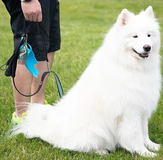 HydroSmart Flex Dispenser, BRB Pets 11 HydroSmart Flex Dispenser, BRB Pets - Image 11