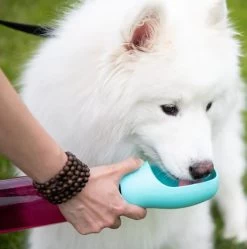 HydroSmart Pro For Dogs, Portable Waterer, BRB Pets -Pet Supplies Shop bouteille pro6 94c