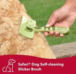 Self-cleaning Brush For Small Dogs, Safari -Pet Supplies Shop brosse auto nettoyante pour petits chiens 1 87e