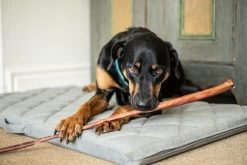 Dog Treats, Beef Bully Stick, Hero -Pet Supplies Shop bully stick pour chien scaled 1