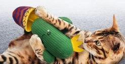 Cactus Wrangler, Cat Plush, Kong -Pet Supplies Shop cactus kong 3 8e6