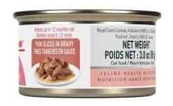 Pet Supplies Shop -Pet Supplies Shop chaton royal canin 1 d73