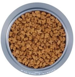 Sterilized Kitten Food, Royal Canin 2.5 Lb (1.14 Kg) -Pet Supplies Shop chaton royal canin 2 909
