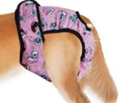Incontinence Dog Briefs, Pink Smiles 2 Incontinence Dog Briefs, Pink Smiles - Image 2