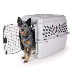 Carrier For Dog Or Cat, Petmate Rigid -Pet Supplies Shop file 145 2 572