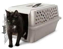 Carrier For Dog Or Cat, Petmate Rigid -Pet Supplies Shop file 146 1 216