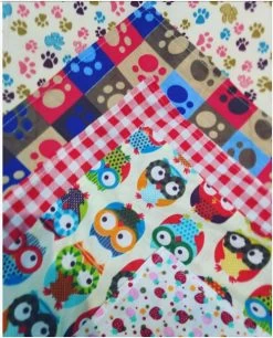 Scarf For Animals, (Kit 72 Units Per Size), Cozymo