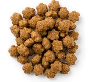 Tuna Pumpkin Cat Treats, Fruitables (70g) 2 Tuna Pumpkin Cat Treats, Fruitables (70g) - Image 2