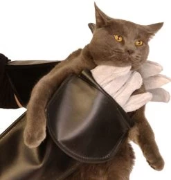 Anti-bite Gloves For Grooming (pair), Proguard