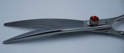 Curved Grooming Scissor, Gain Grooming Dragon Eye 7" 7 Curved Grooming Scissor, Gain Grooming Dragon Eye 7" -Pet Supplies Shop gg dragon8 courbe 2 1 a72