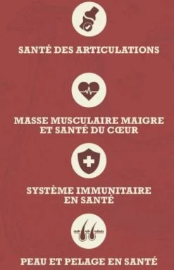 Healthy Grain Dog Food, Large Breed, Acana 10.2 Kg (22.5 Lb) -Pet Supplies Shop grain acana2 bef