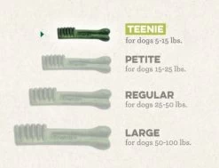 Dental Dog Treats, Original Teenie, Greenies -Pet Supplies Shop greenies geterie dentaire size