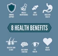 Cat Food, Guardian 8, Orijen -Pet Supplies Shop guardian8 orijen 633