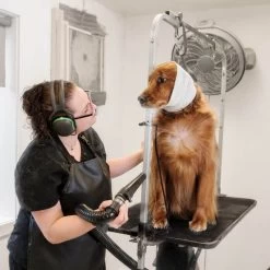 Happy Hoodie Tube Collar For Dog And Cat Grooming