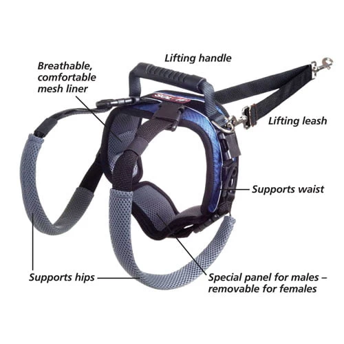 Petsafe Rear-Only Lifting Harness For Dog 3 Petsafe Rear-Only Lifting Harness For Dog - Image 3