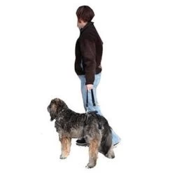 Petsafe Rear-Only Lifting Harness For Dog 16 Petsafe Rear-Only Lifting Harness For Dog -Pet Supplies Shop harnais moyen de levage chien solvit c58