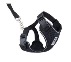 Cat Harness, Adventure Kitty Black, RC Pets