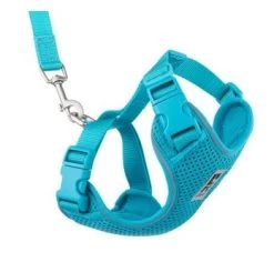 Cat Harness, Adventure Kitty Teal, RC Pets