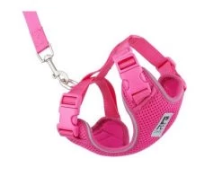 Cat Harness, Adventure Kitty Pink, RC Pets