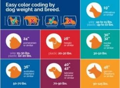 Dog Carrier, Sky Kennel, Petmate -Pet Supplies Shop image charte 3b3