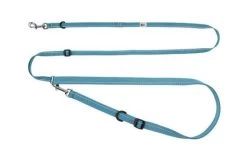Leash For Dogs And Cats, RC Pets, Primary Active Teal Blue