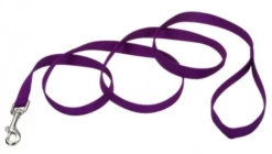 1 "X 6ft Nylon Pet Leash -Pet Supplies Shop laisse mauve 1 6bf