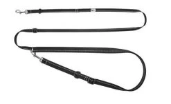 Leash For Dogs And Cats, RC Pets, Primary Active Black