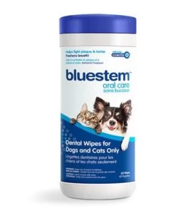 Bluestem Dental Wipes For Dogs And Cats