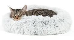 Round Bed For Dogs And Cats, Best Friends, Frosted White -Pet Supplies Shop lit chat 193