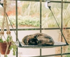 Cat Window Bed, Ez Mount Kitty Sill K&H -Pet Supplies Shop lit chat kh4 e75