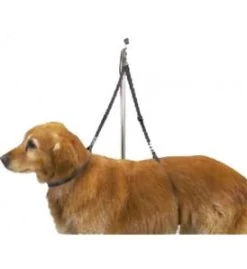 Large 22" And 25" Double Grooming Strap (double Grooming Loop)