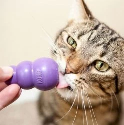 Kong Kitty Treat Dispenser Cat Toy -Pet Supplies Shop mauve chat kong ae8