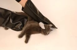 Anti-bite Gloves For Grooming (pair), Proguard -Pet Supplies Shop mitaine de protection anti morsures toilettage 44d