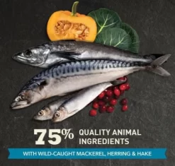 Dry Food For Cat Acana Pacifica Highest Protein -Pet Supplies Shop nourriture pacifica pour chat acana plus forte teneur en proteines