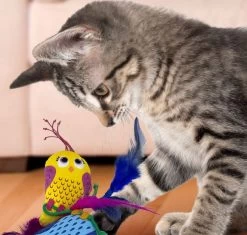 Cat Plush, Pull-A-Partz Luvs Birds, Kong -Pet Supplies Shop oiseau kong3 214