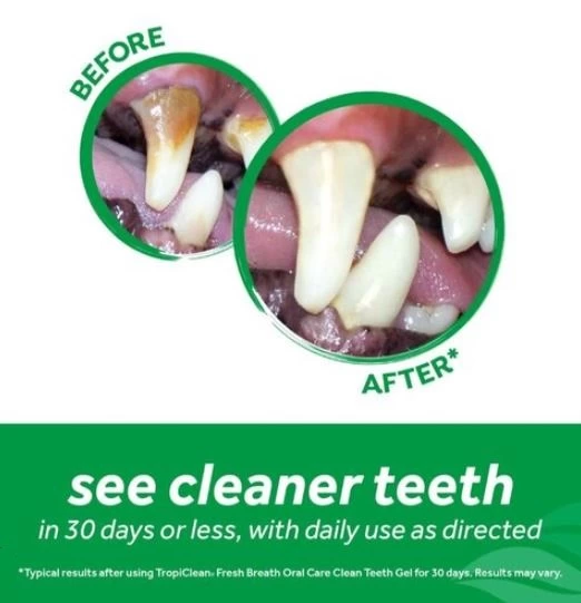 Oral Care Kit For Pets, Tropiclean 4 Oral Care Kit For Pets, Tropiclean - Image 4