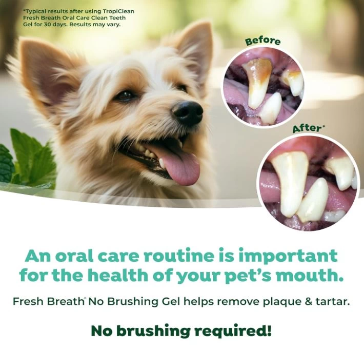 Puppy Teeth Care Kit, Tropiclean 6 Puppy Teeth Care Kit, Tropiclean - Image 6