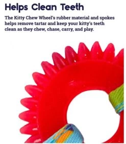 Teething Wheel, Dental Toy For Cats, Petstages -Pet Supplies Shop petstages chat roue 019