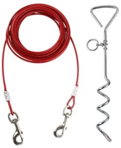 Stake With Tether For Dogs, BüD'z